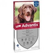 ADVANTIX SPOT ON CANI 25-40kg 6 pipette